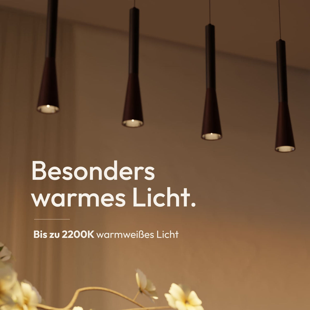 Solea Pendelleuchte
