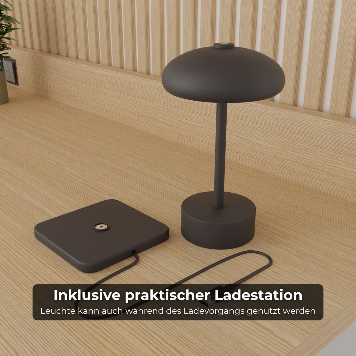 Elario Akku Tischleuchte