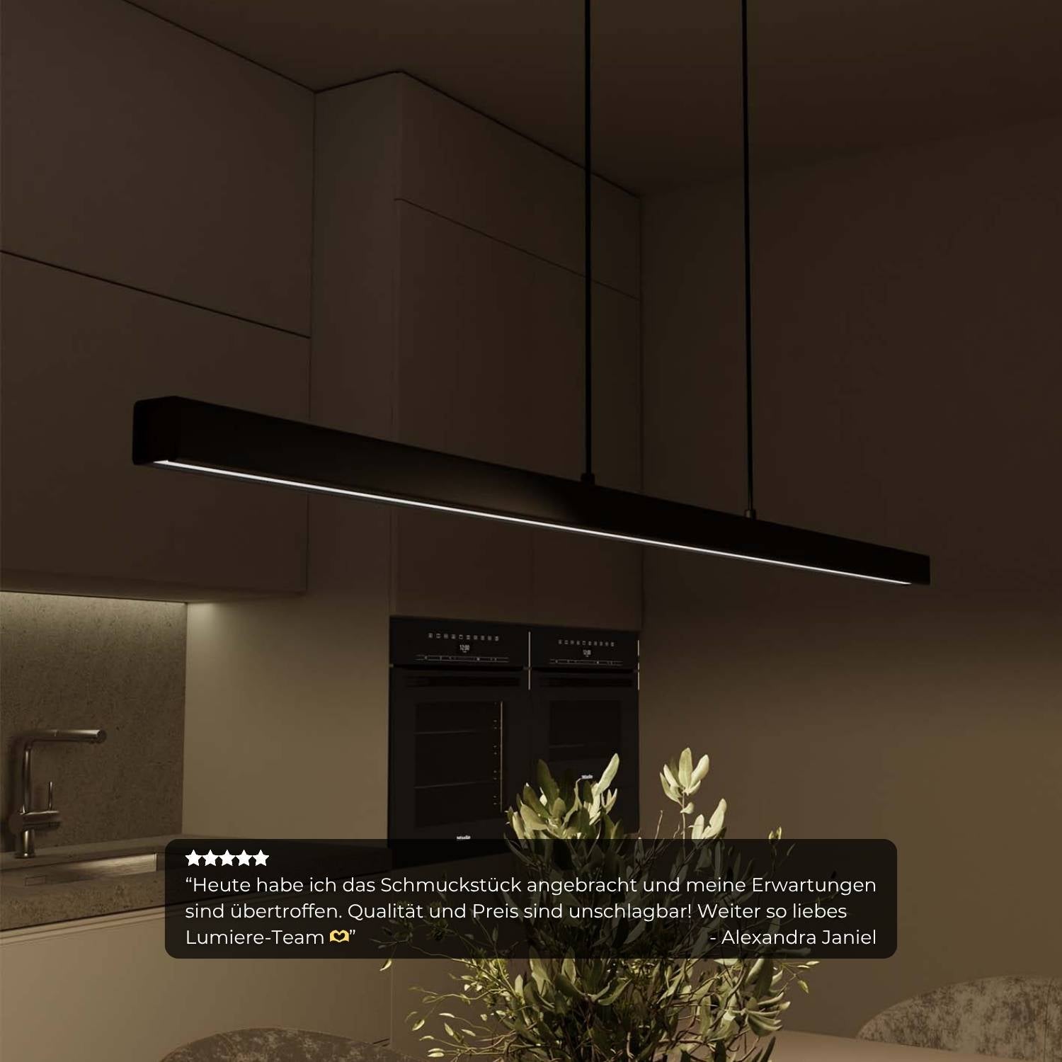 DALI-2 DT8: Calimera Pendelleuchte